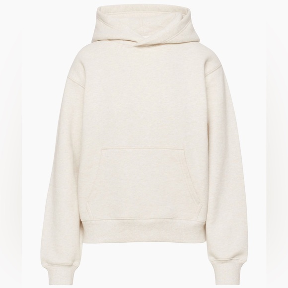 Aritzia Cozy Sweatfleece Mega Raglan Hoodie Heathered Cream - Picture 4 of 5